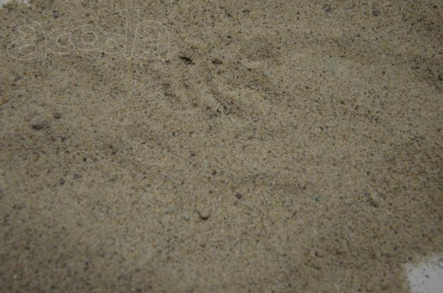Намывной песок 290