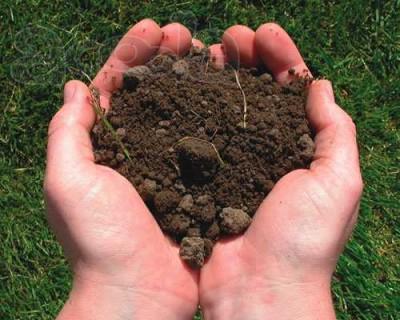 Земля плодородная приготовленная, Почвогрунт на основе 4-х компонентной смеси.