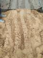 Морской песок сеянный песок намывной супесь карьерный песок