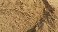 Песок намывной, сеянный с доставкой в СПб и Ло.