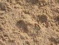 Песок напрямую с карьера "16 км" Мяглово