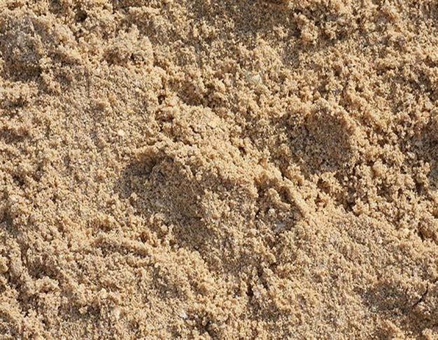 Намывной песок Карьер Мяглово 16 км
