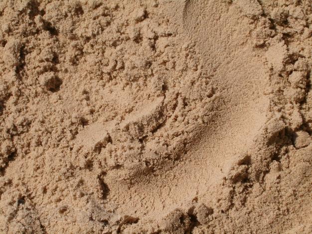 Песок в мешках по 50 кг